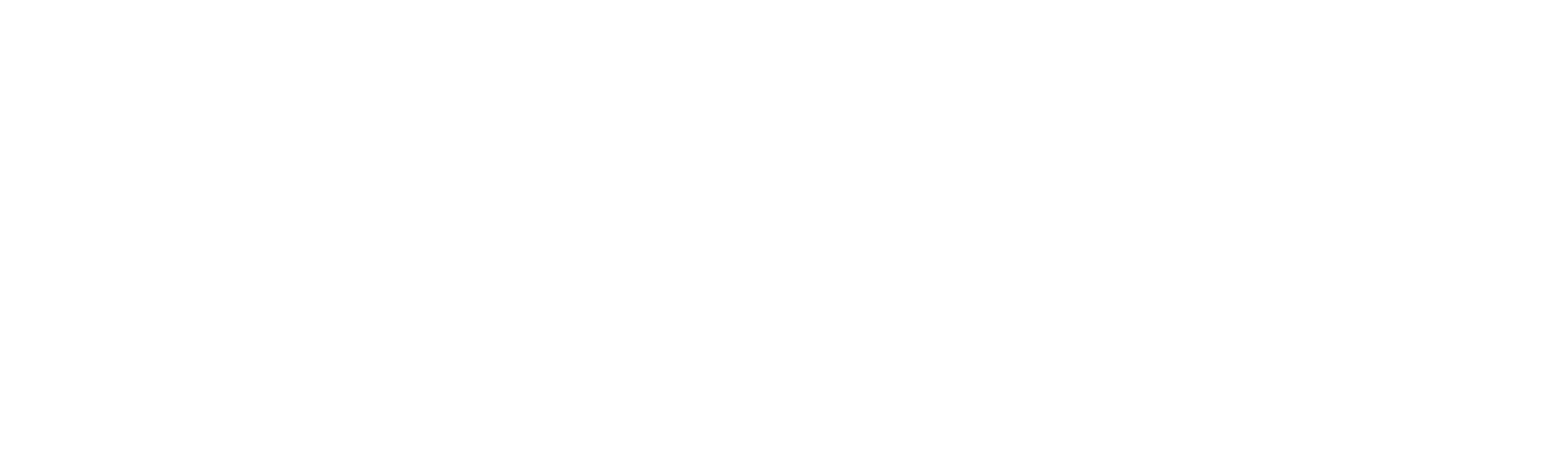 Honors Scholars Program
